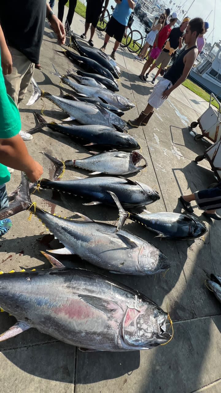 RS Highliner 2 DAY TUNA OFFSHORE 8/27