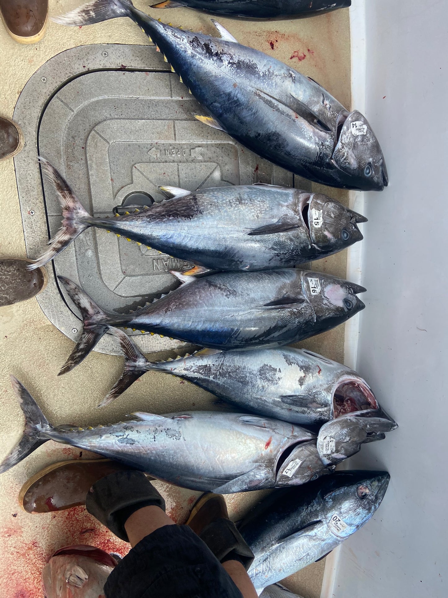 RS Highliner  Reverse Overnight Charter 7/08