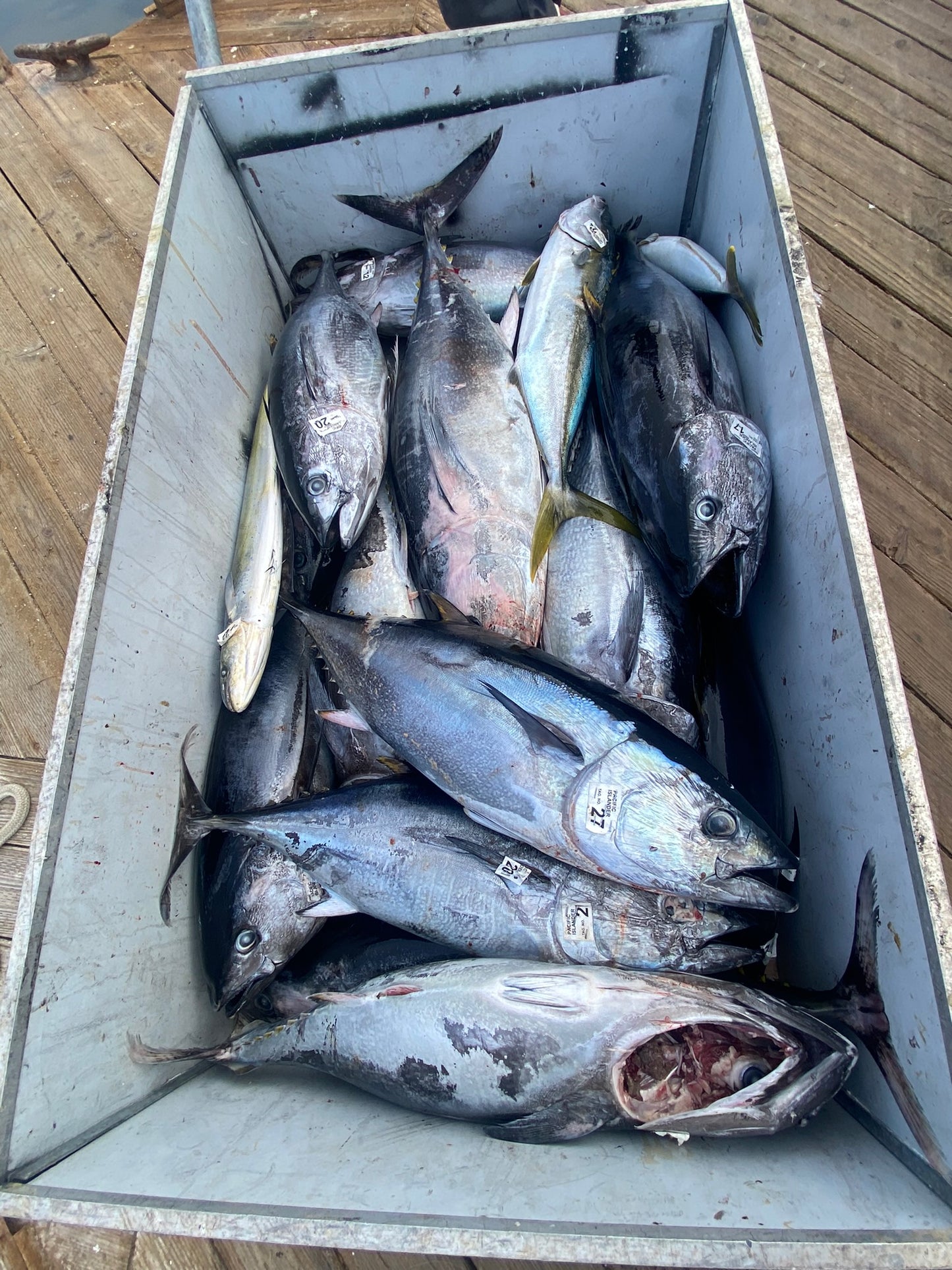 RS First Highliner Overnight Charter 6/10