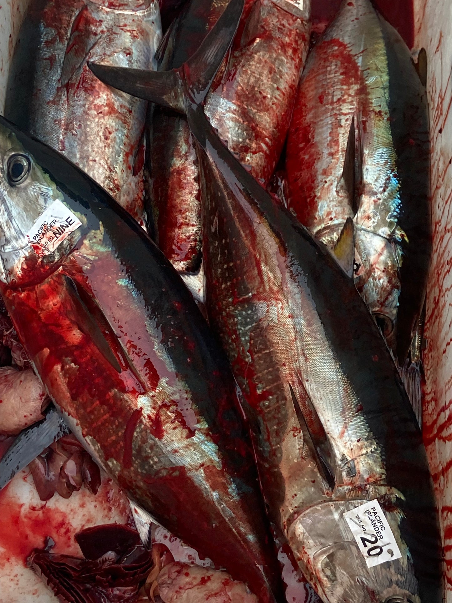 RS Highliner  Reverse Overnight Charter 7/08