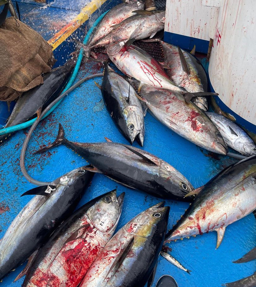 RS Fury Fall Overnight 3rd Annual