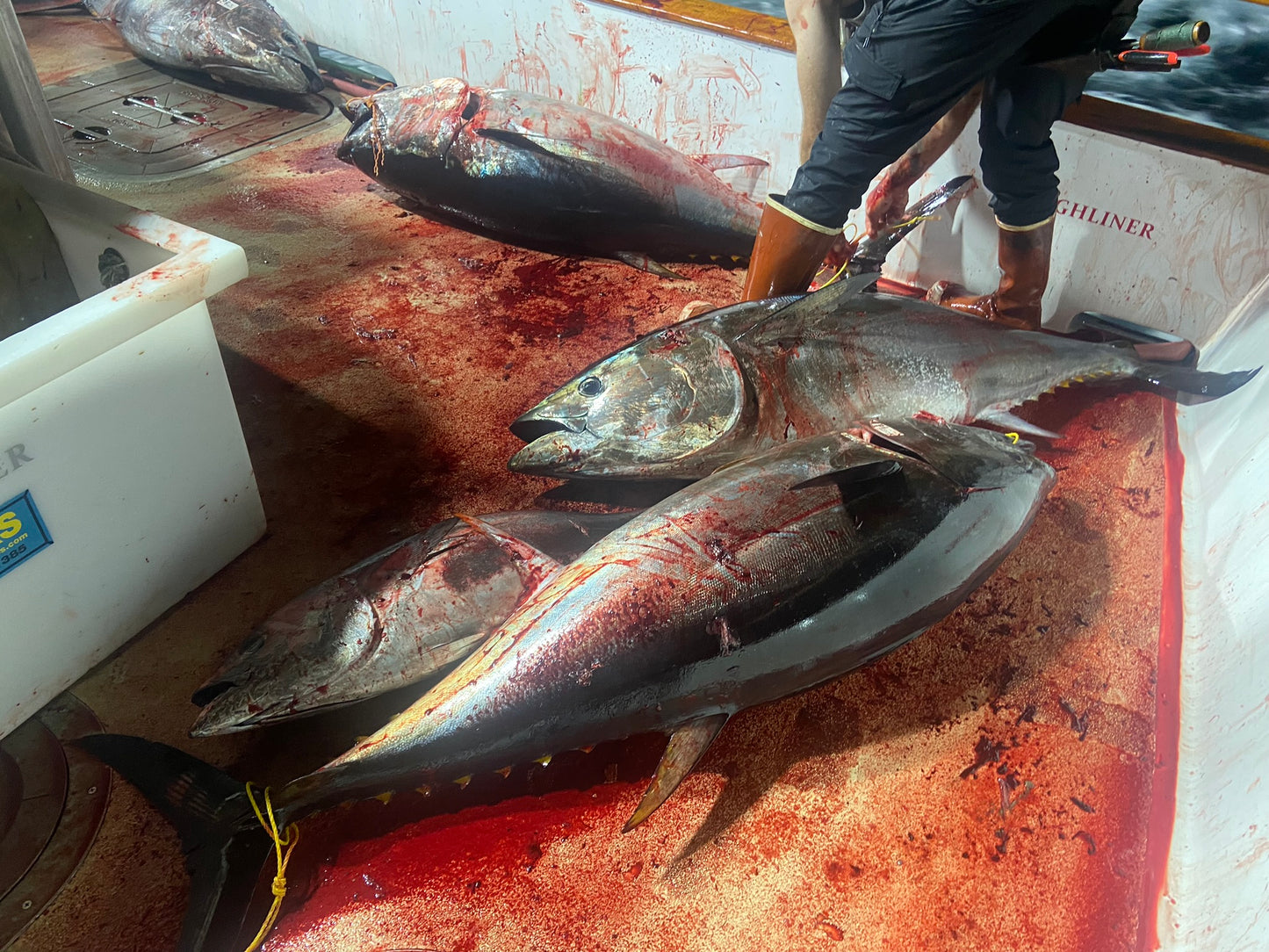 RS Highliner Summer Charter 7/09