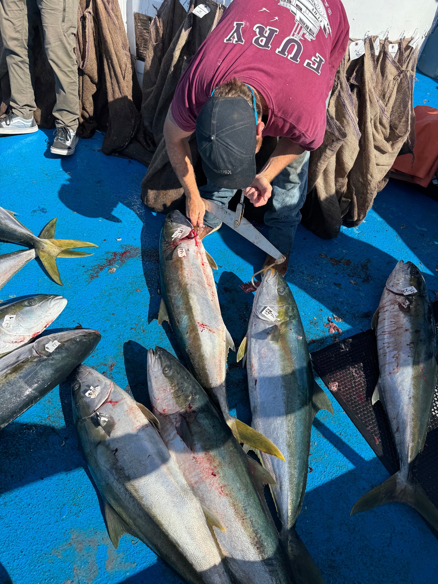 RS SUMMER FURY CHARTER 9/08